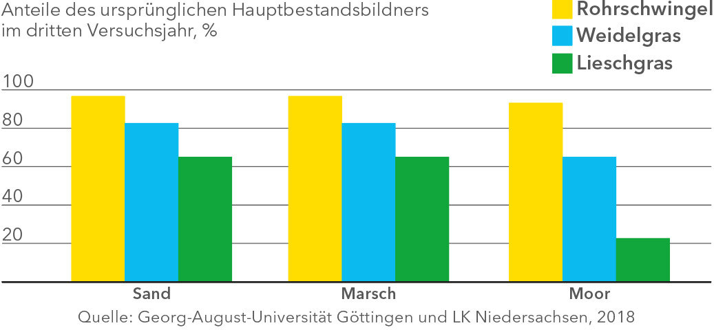 Hauptbestandsbildners.jpg